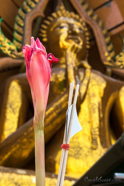วัดถ้ำเสือ