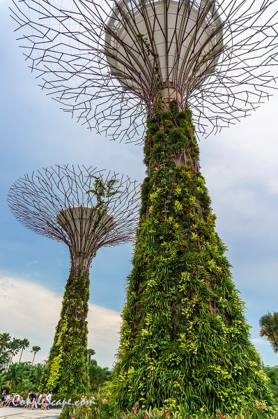 GardenByTheBay