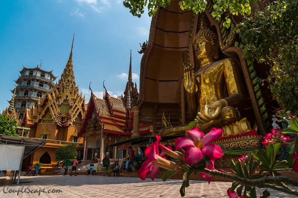 วัดถ้ำเสือ
