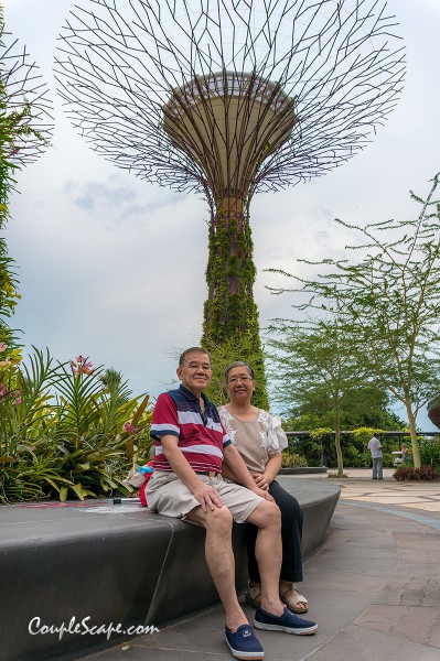 GardenByTheBay