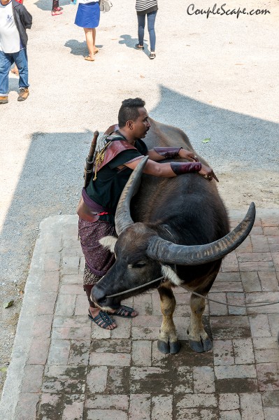 ตลาดน้ำโรงถ่ายสมเด็จพระนเรศวร