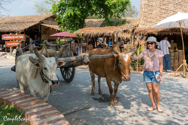 ตลาดน้ำโรงถ่ายสมเด็จพระนเรศวร