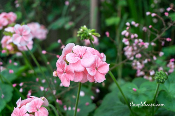 GardenByTheBay