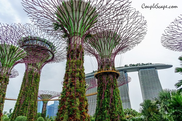 GardenByTheBay