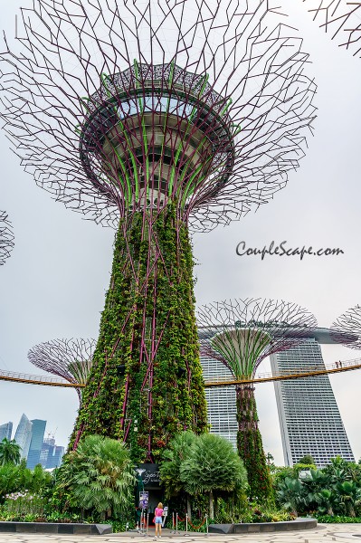 GardenByTheBay