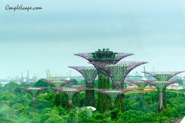 GardenByTheBay