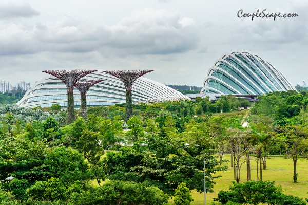 Garden by the bay