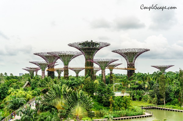 Garden by the bay