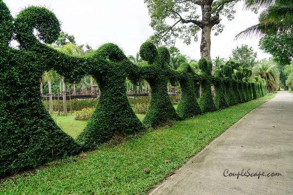 สวนพฤกษศาสตร์ทวีชล