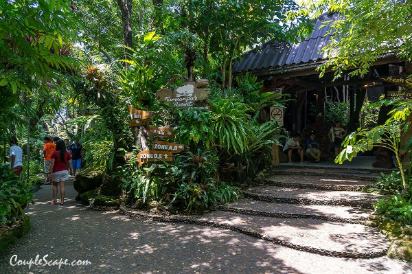 ร้านตำนานป่า