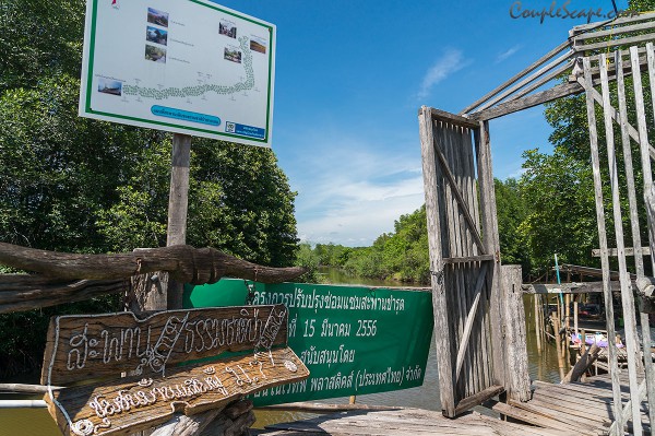 124ทุ่งโปรงทอง