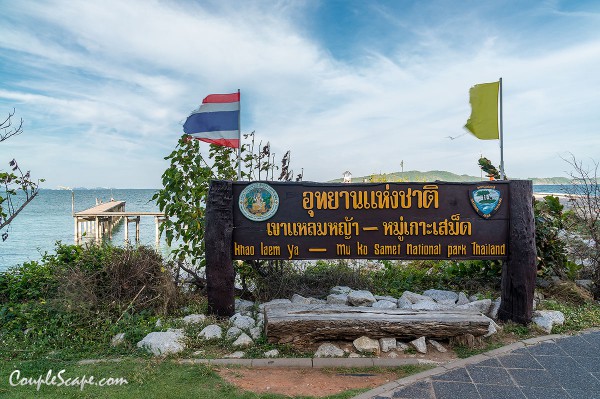 49LeamYaMnt