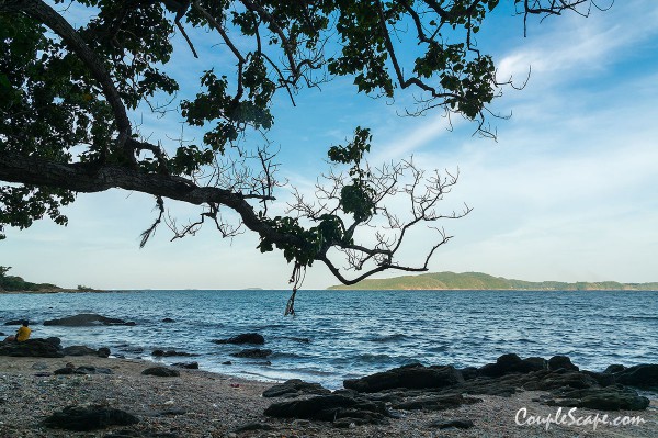 อุทยานแห่งชาติเขาแหลมหญ้า