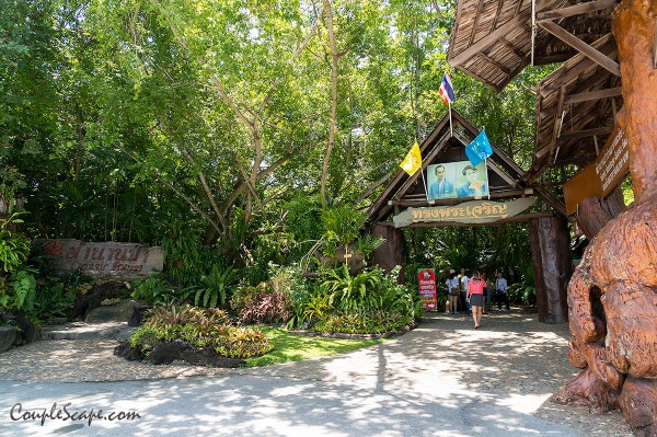 ร้านตำนานป่า