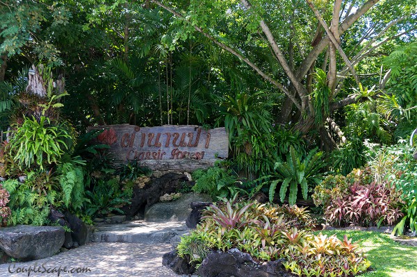 ร้านอาหารตำนานป่า