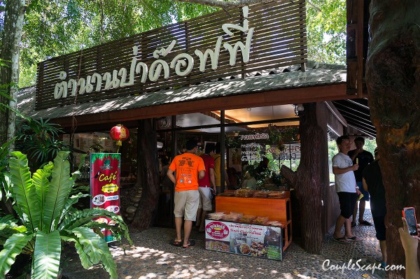 ตำนานป่าค๊อฟฟี่