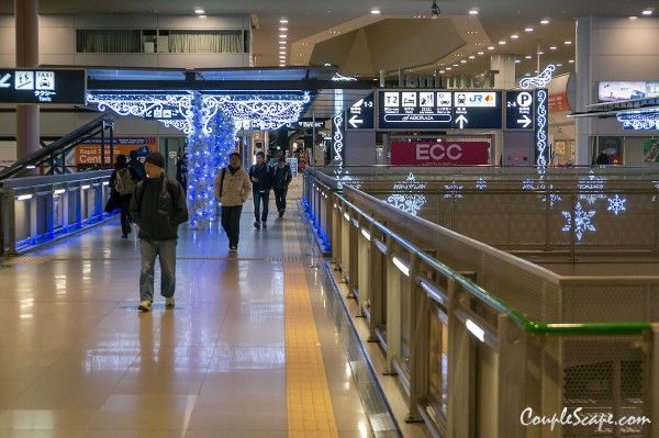 Kansai Airport