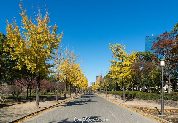 Osaka Castle