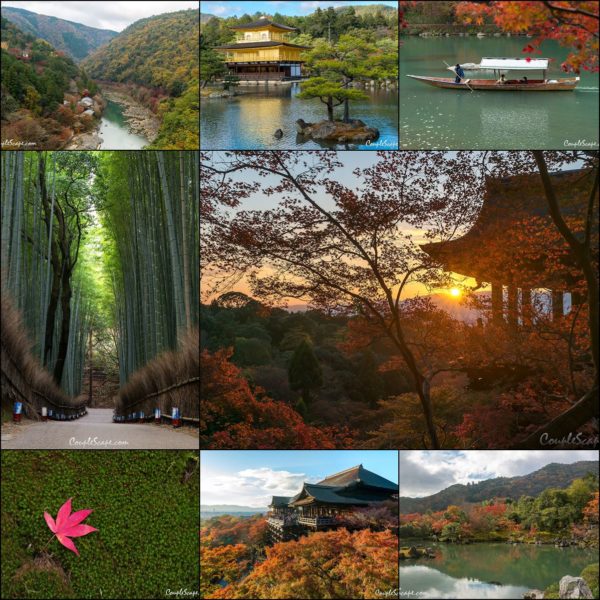 Kyoto Cover