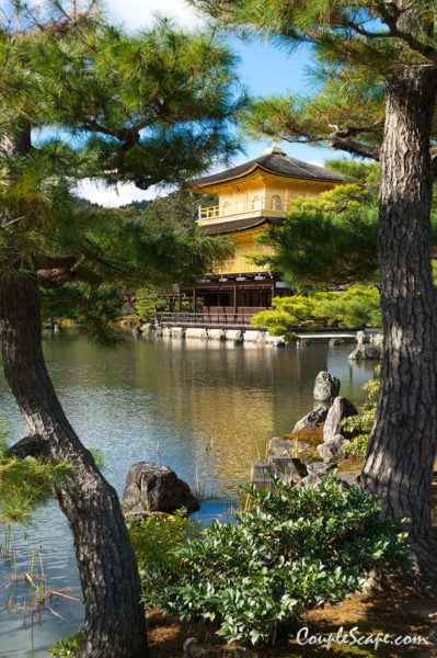 วัดทอง Kinkakuji
