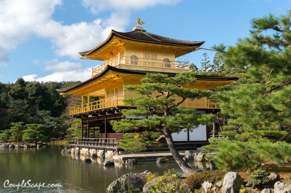 วัดทอง Kinkakuji