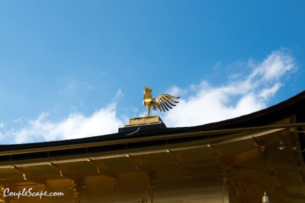 วัดทอง Kinkakuji