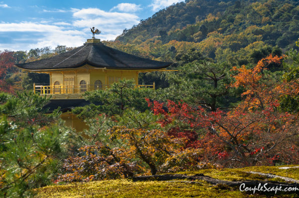 วัดทอง Kinkakuji