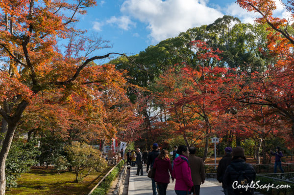 Kinkakuji