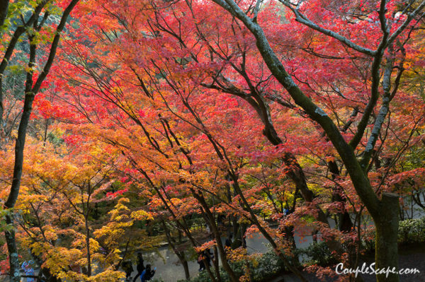 Kiyomizu