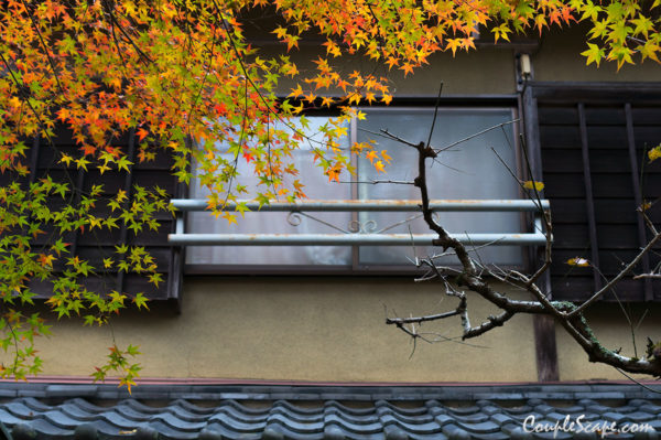 Jojakkoji