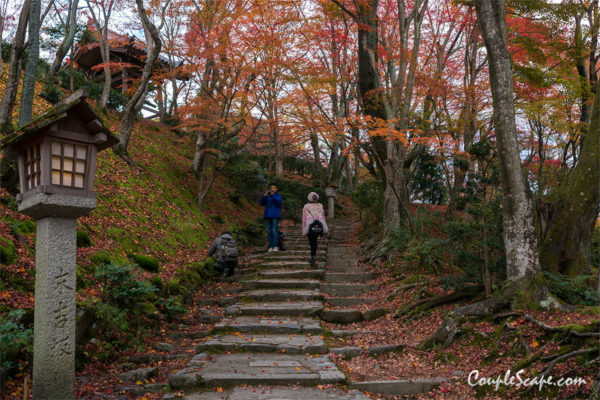 Jojakkoji