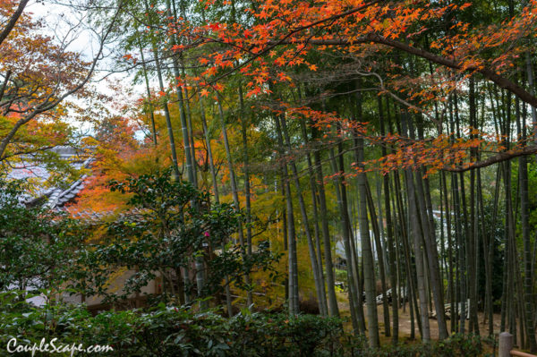 Jojakkoji