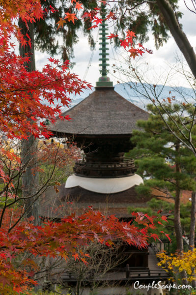 Jojakkoji