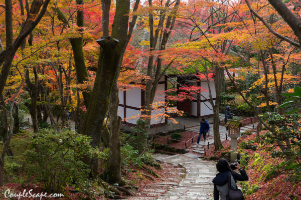 Jojakkoji