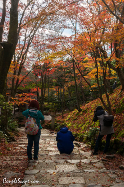Jojakkoji