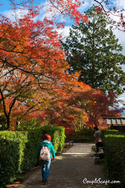 Jojakkoji