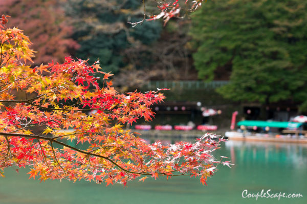 Arashiyama