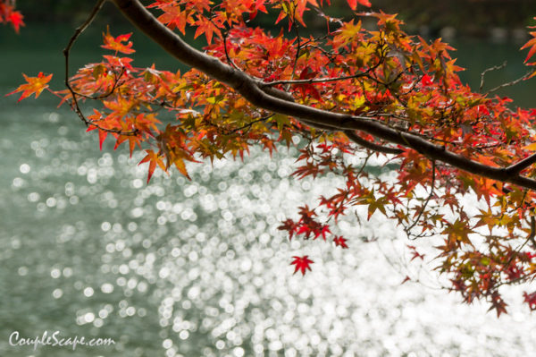 Arashiyama