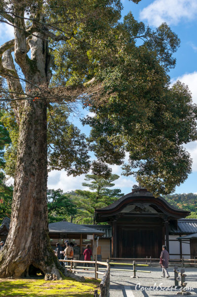 Kinkakuji