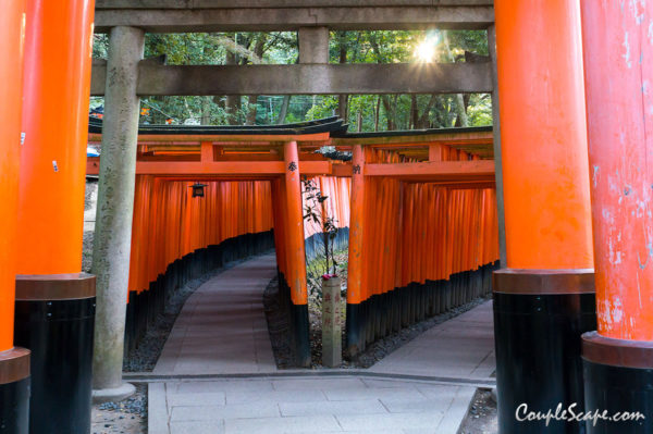 Fushimi Inari