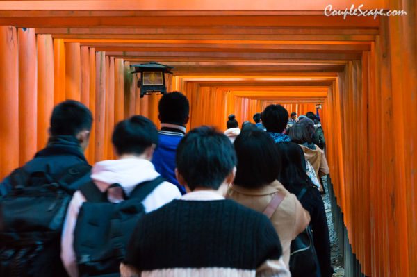 Fushimi Inari