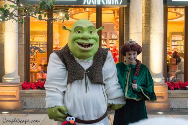 Shrek & Fiona