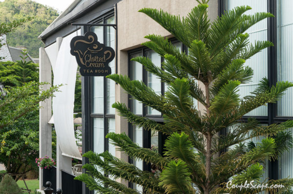 Clotted Cream Tea room