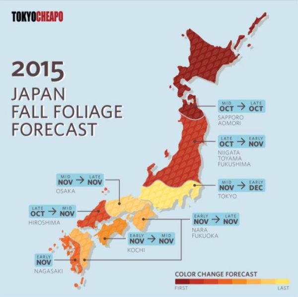 Autumn Forecast