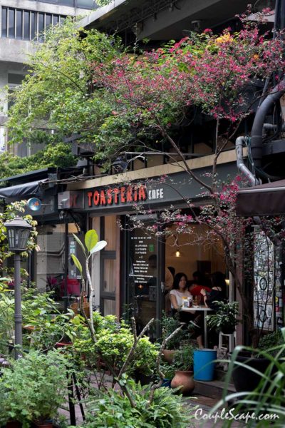 Toasteria cafe