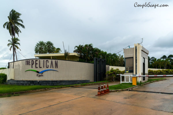 Pelican Krabi