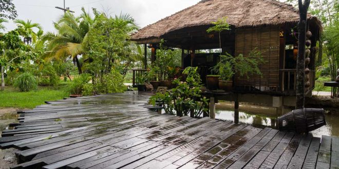 ร้านเรือนไม้