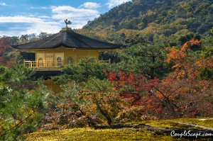 107-1Kinkakuji01
